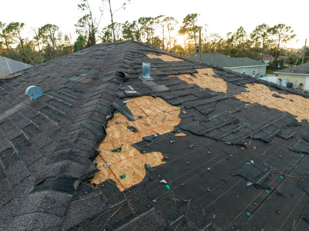 Best Roof Coating and Sealing  in Chuluota, FL
